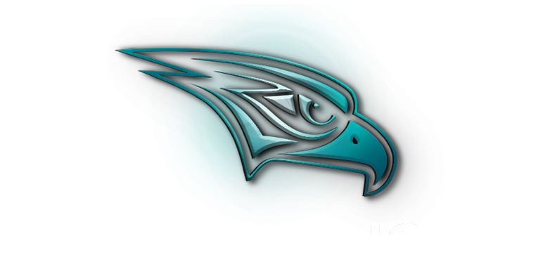 Abu Dhabi Falcons