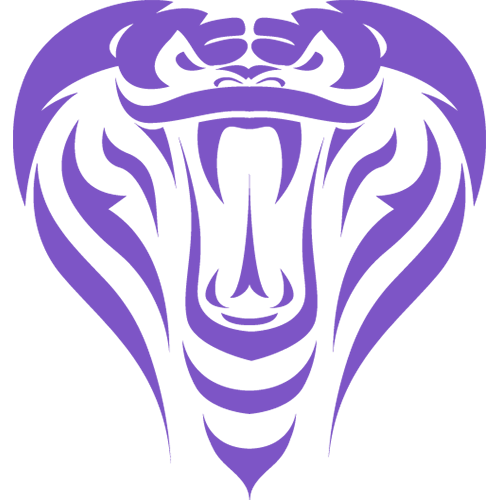 Mumbai Cobras
