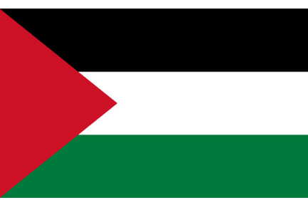 Palestine Flag