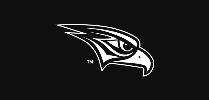 Abu Dhabi Falcons